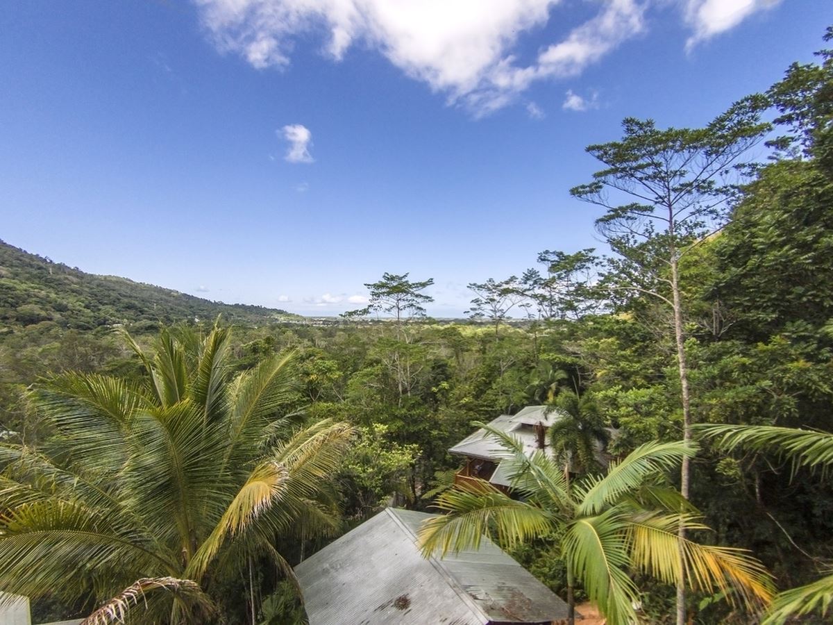 Elevated Rainforest Land