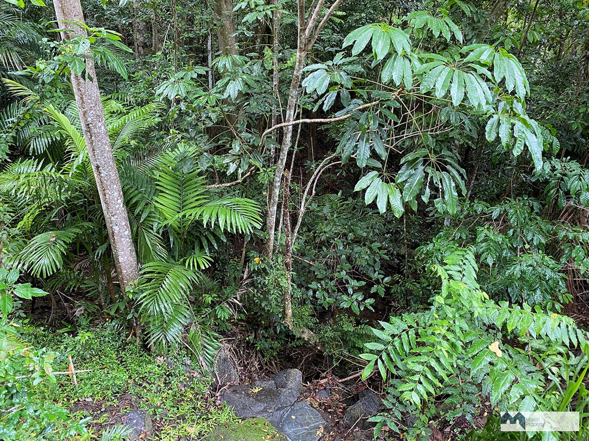 Lifestyle Acreage Ten Minutes From The Cbd