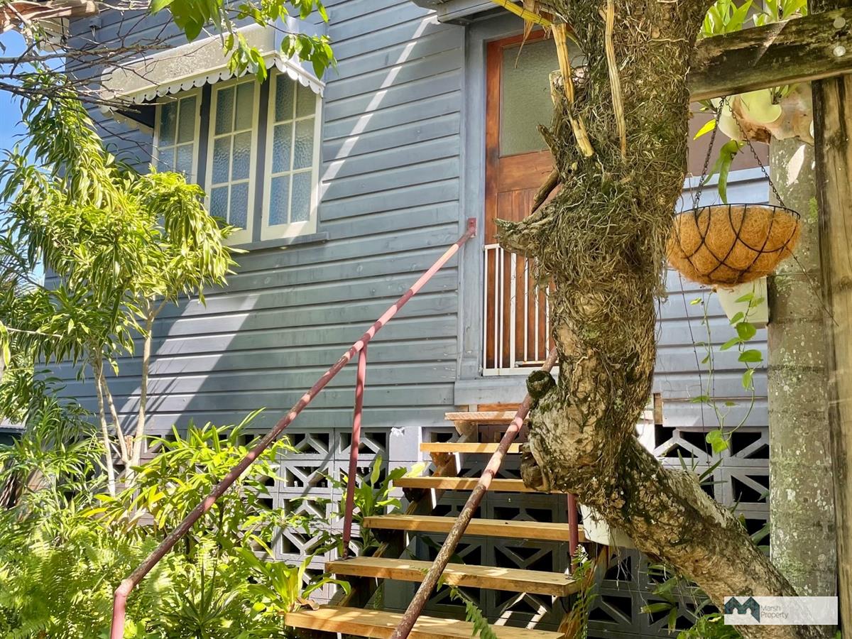 Affordable & So Much Potential