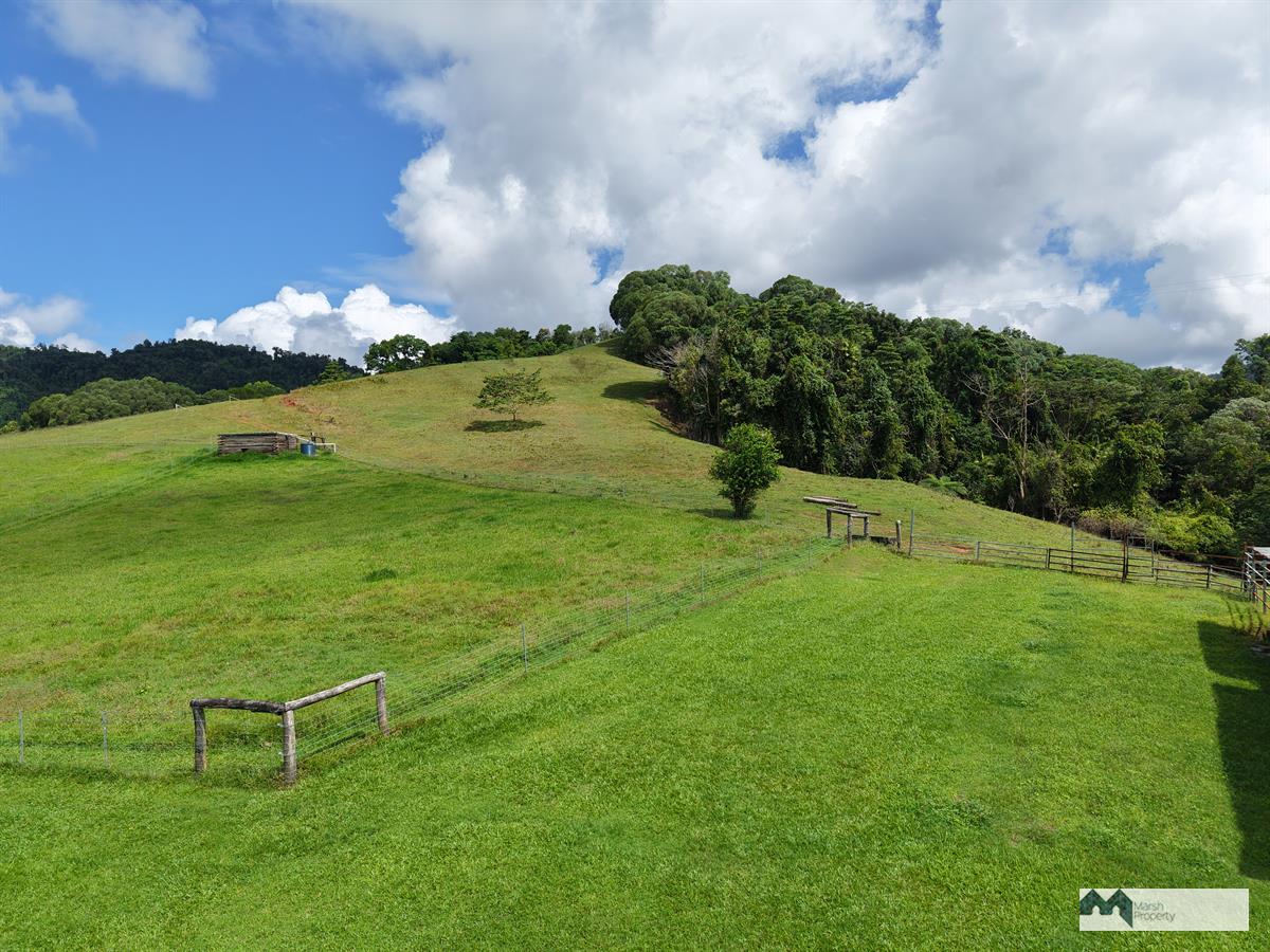 Brand-new Tiny Home On Huge Block