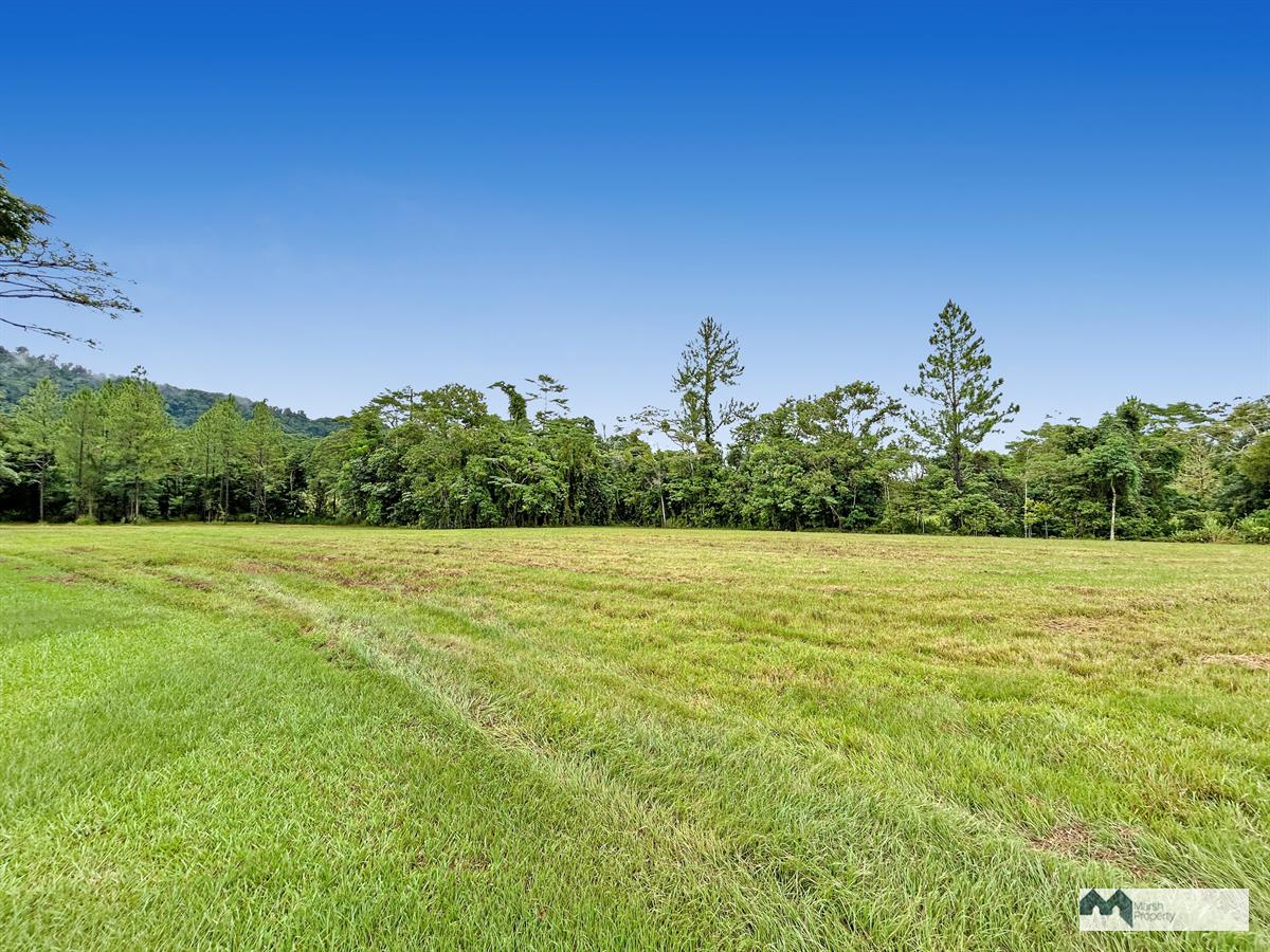 Spacious Rural Lots With Development Potential
